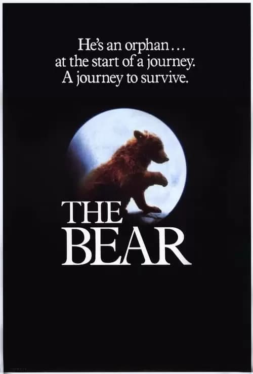 The Bear Poster