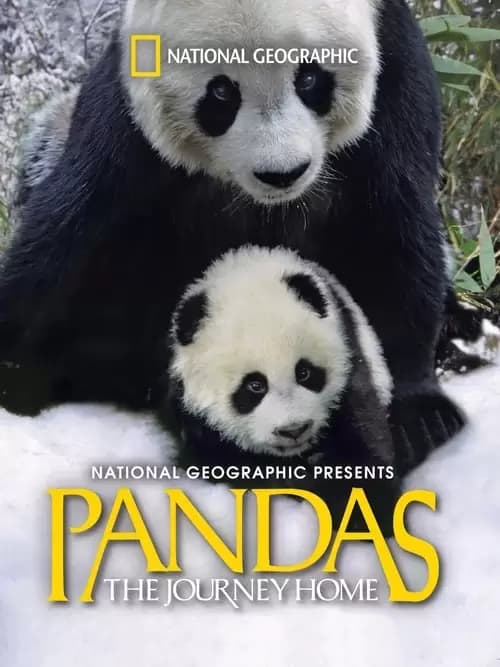 Pandas: The Journey Home Poster