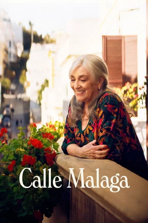 Calle Málaga Poster