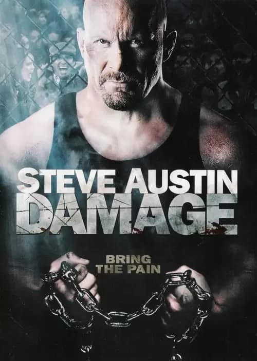 Damage Poster