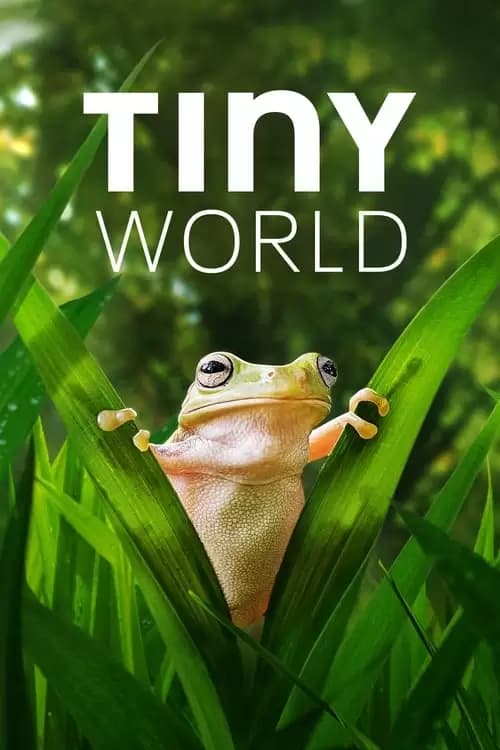 Tiny World Poster