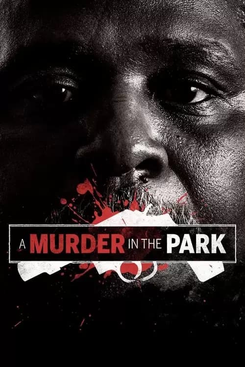 A Murder in the Park Poster