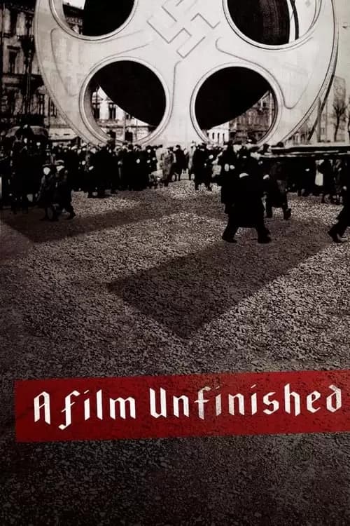 A Film Unfinished Poster
