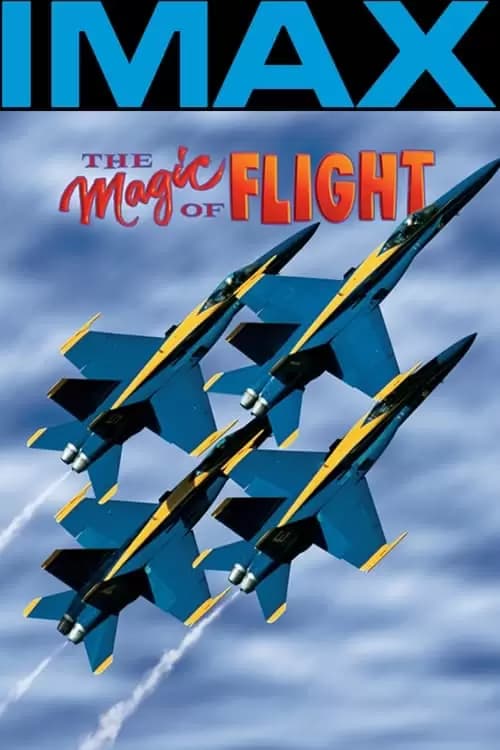 The Magic of Flight Poster