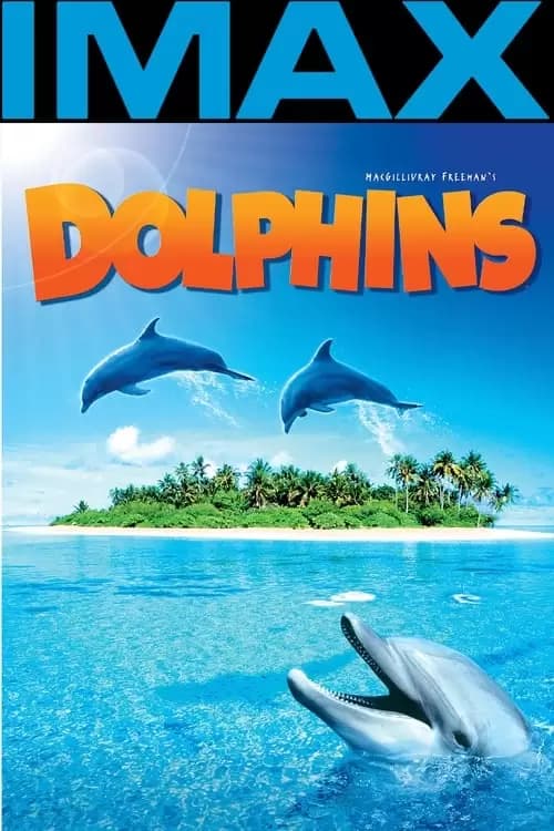 Dolphins Poster