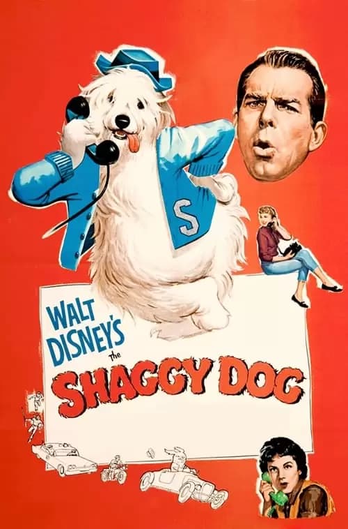 The Shaggy Dog Poster
