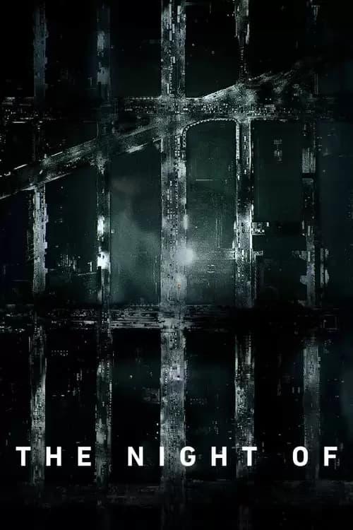 The Night Of Poster