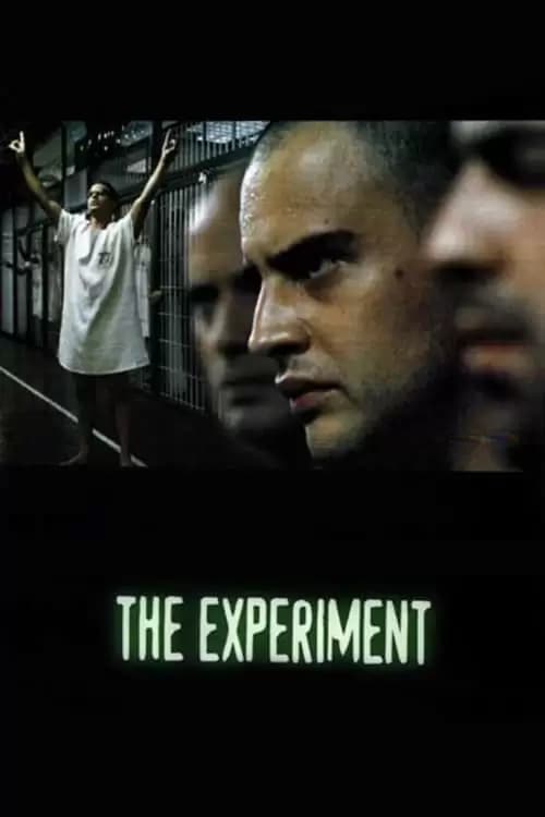 Das Experiment Poster