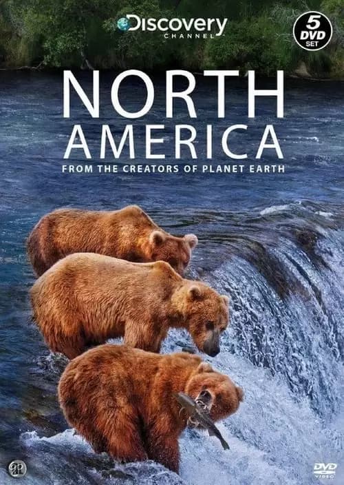 North America Poster