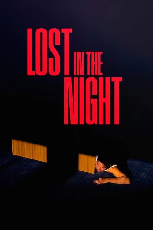 Lost in the Night Poster
