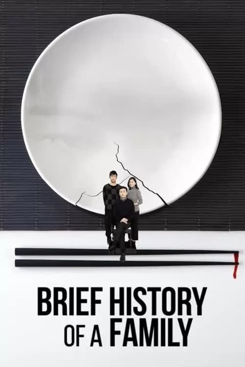 Brief History of a Family Poster