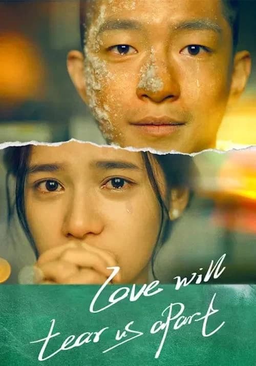 Love Will Tear Us Apart Poster