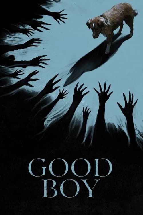 Good Boy Poster
