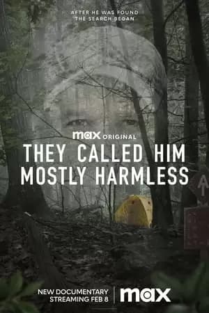 They Called Him Mostly Harmless Poster