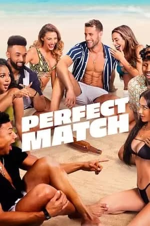 Perfect Match Poster