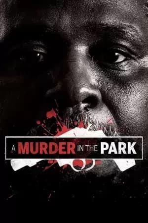 A Murder in the Park Poster