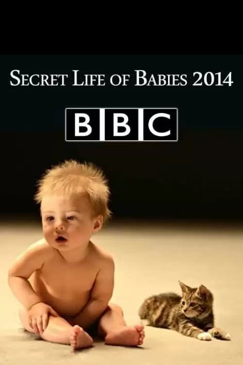Secret Life of Babies Poster